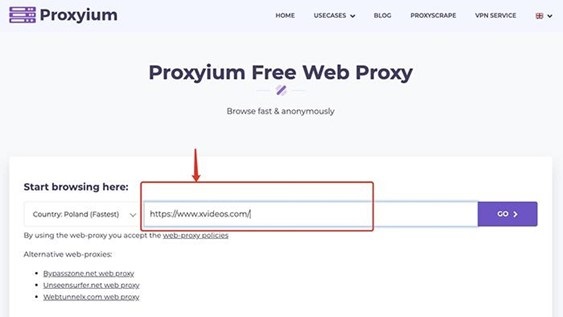 Разблокируйте Xvideos с помощью онлайн-прокси Proxyium